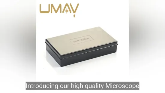Microscope Slide Storage Box Plastic Box for Slides Storage
