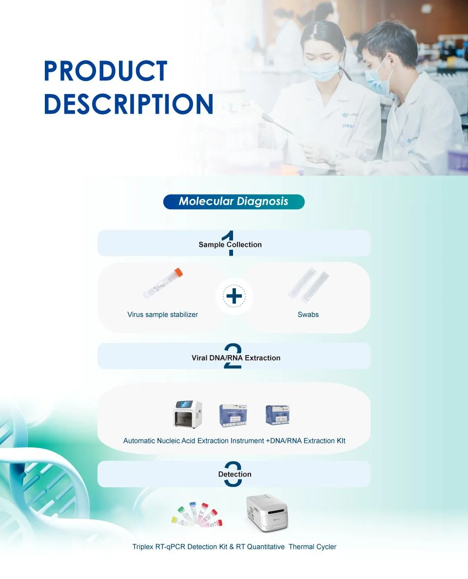 Nucleic Acid Sample Collection Virus Sample Stabilizer Withtube