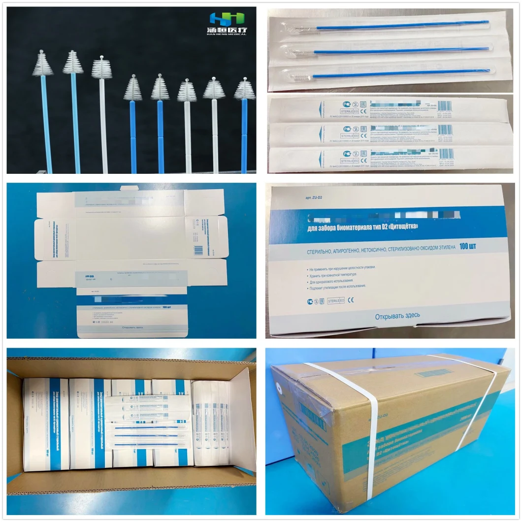 Nylon Brush for Cervical Screening for Cytology and Hpv Testing with CE-ISO Certificates Medical Supplier