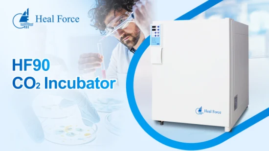 Heal Force Lab Zellkultur CO2-Inkubator 150L Biologie für Laborgeräte CO2-Inkubator